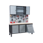 Moduł CARBON typ 